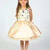 Beige Ashler Sequin Dress