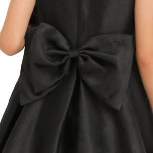 Black Accented Tea Styled Salem Dress