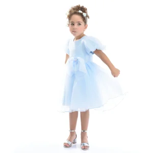 Blue Bow Organza Dress