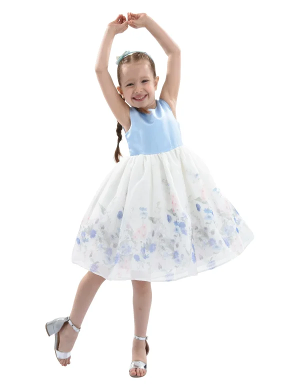 Blue Mabel Floral Garden Organza Dress