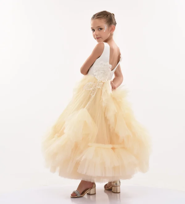 Gold Amber Tulle Dress