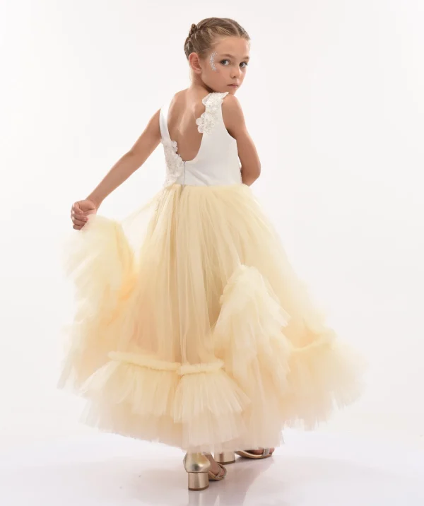 Gold Amber Tulle Dress