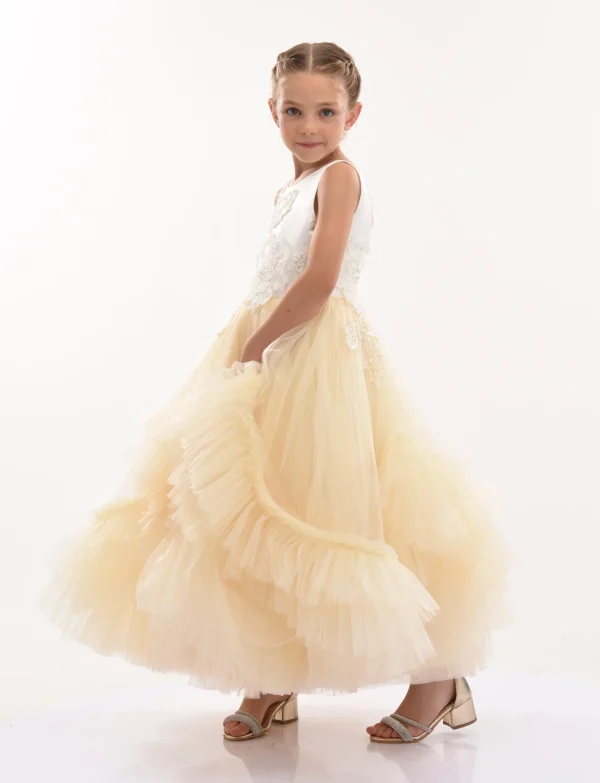 Gold Amber Tulle Dress