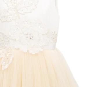 Gold Amber Tulle Dress