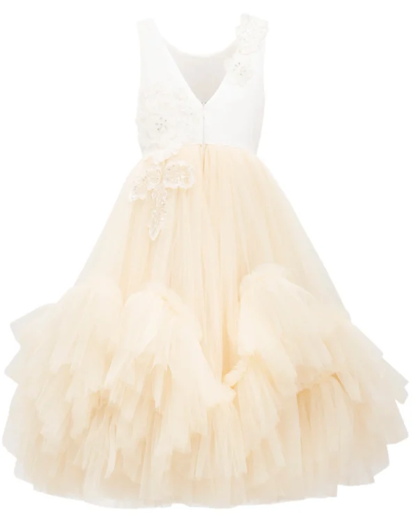 Gold Amber Tulle Dress