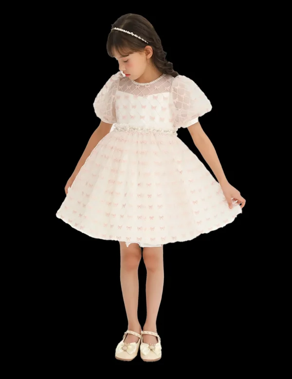 Ivory Pink Accented Tulle Fontana Dress