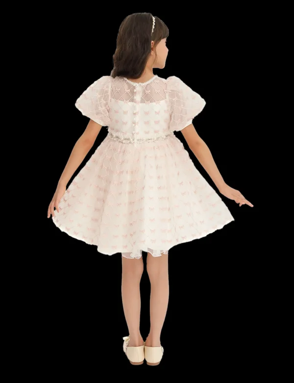 Ivory Pink Accented Tulle Fontana Dress