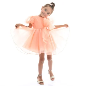 Peach Bow Organza Dress