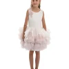 Pink Littlebrook Floral Tulle Dress