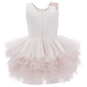 Pink Littlebrook Floral Tulle Dress