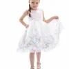 Pink Mabel Floral Garden Organza Dress