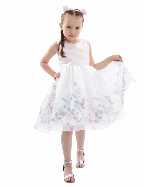 Pink Mabel Floral Garden Organza Dress