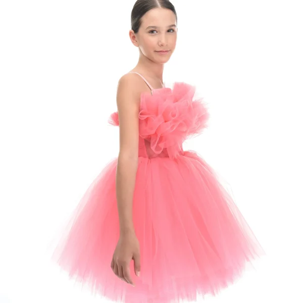 Pink Ruffle Scalleta Dress
