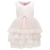 Pink Sleeveless Tier Tulle Dress