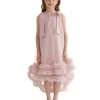 Pink Violeta Sleeveless Ruffle Overlay Dress