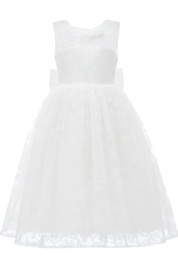 White Rossemere Lace Embroidered Tulle Dress